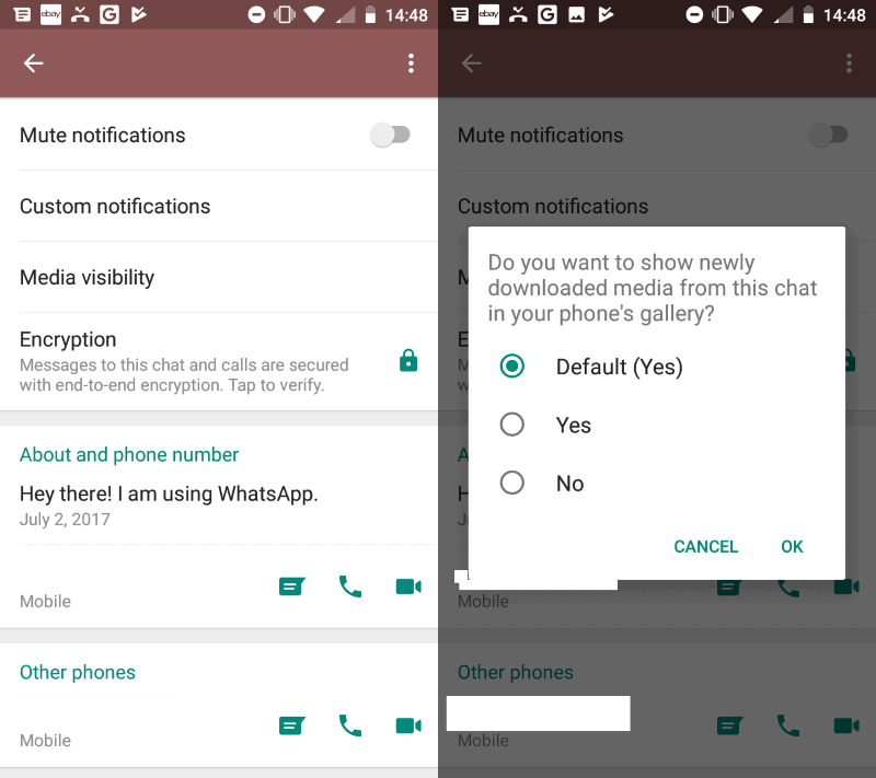 whatsapp chat visibility